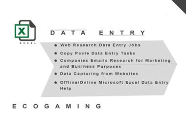 Data Entry Excell, Web Search, Data Allocation