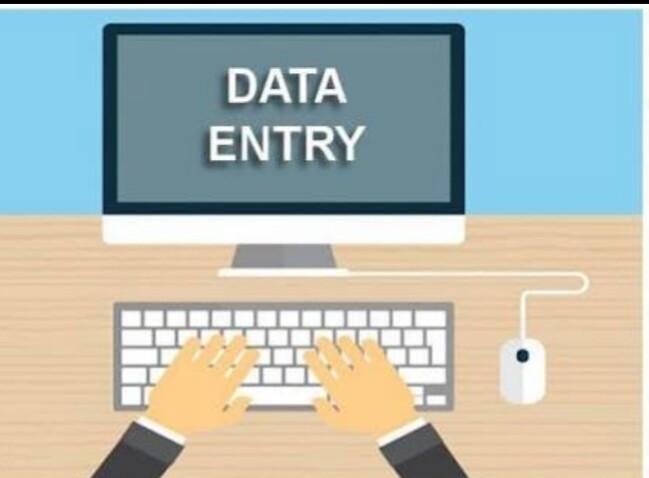 I will do data entry work on ms word, I Can type a p...