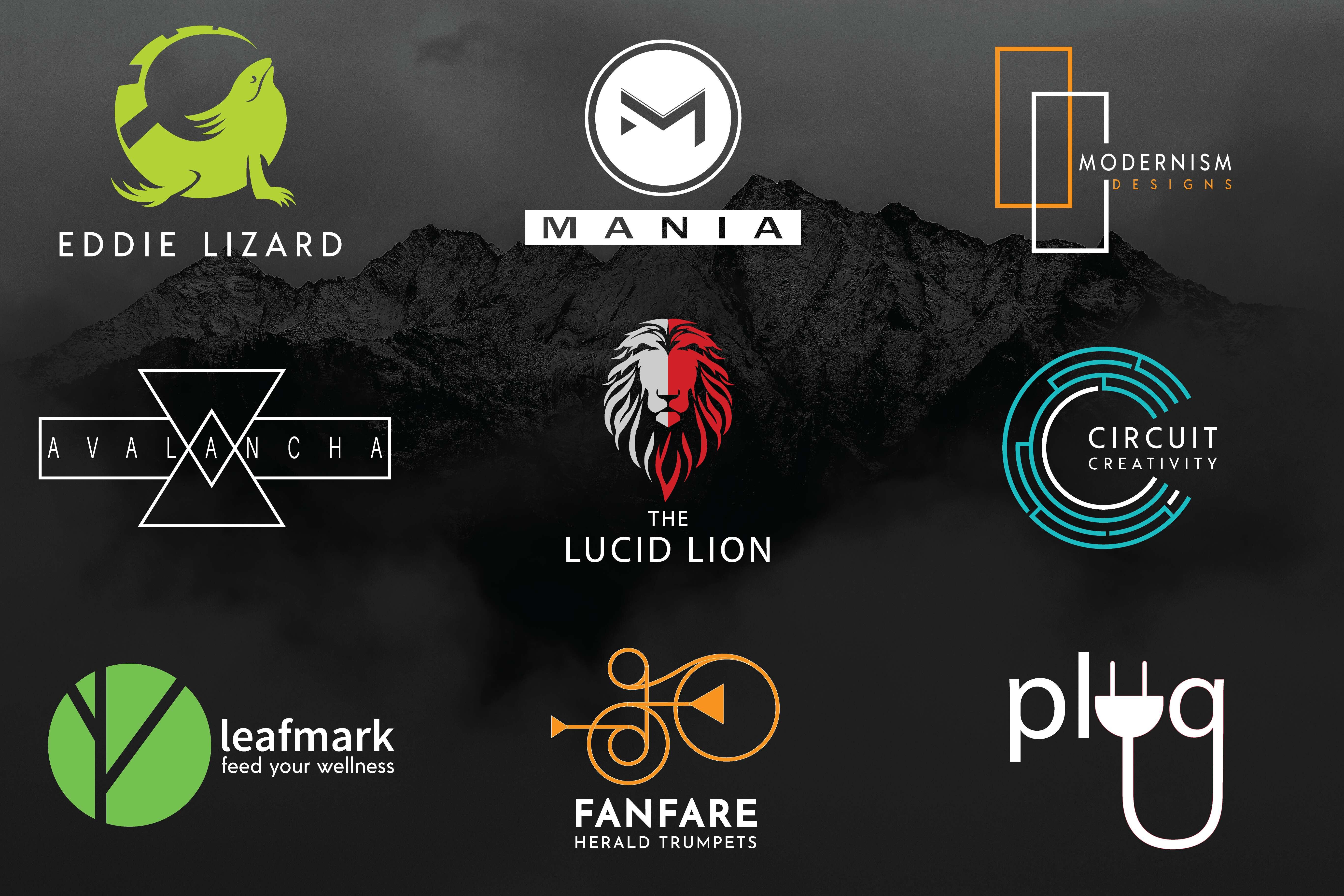 I will do modern business logo design