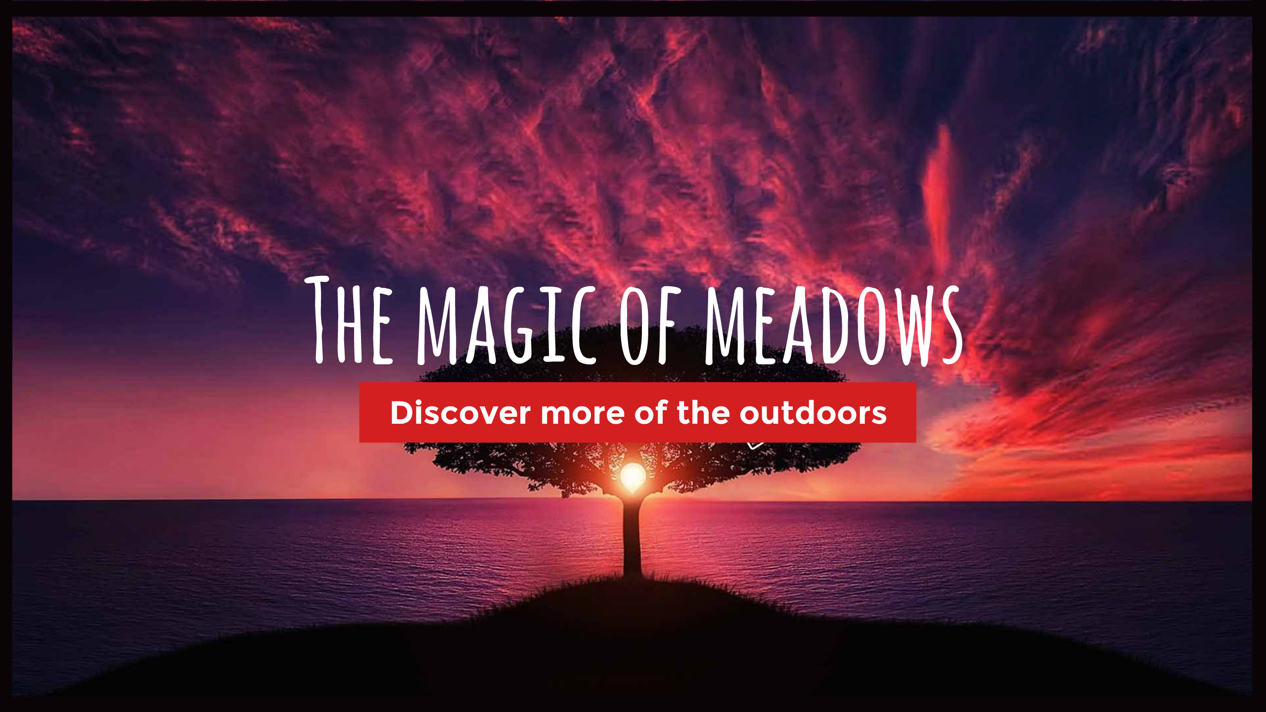 Banner Services For Youtube of all kinds.