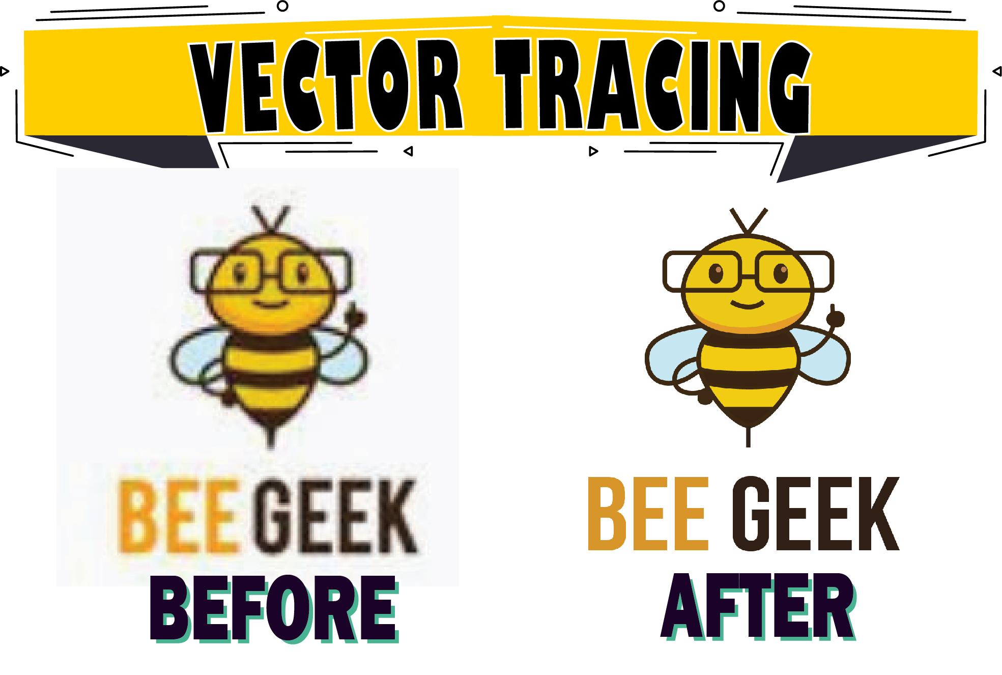 I will vectorize, do vector tracing of any logo or i...