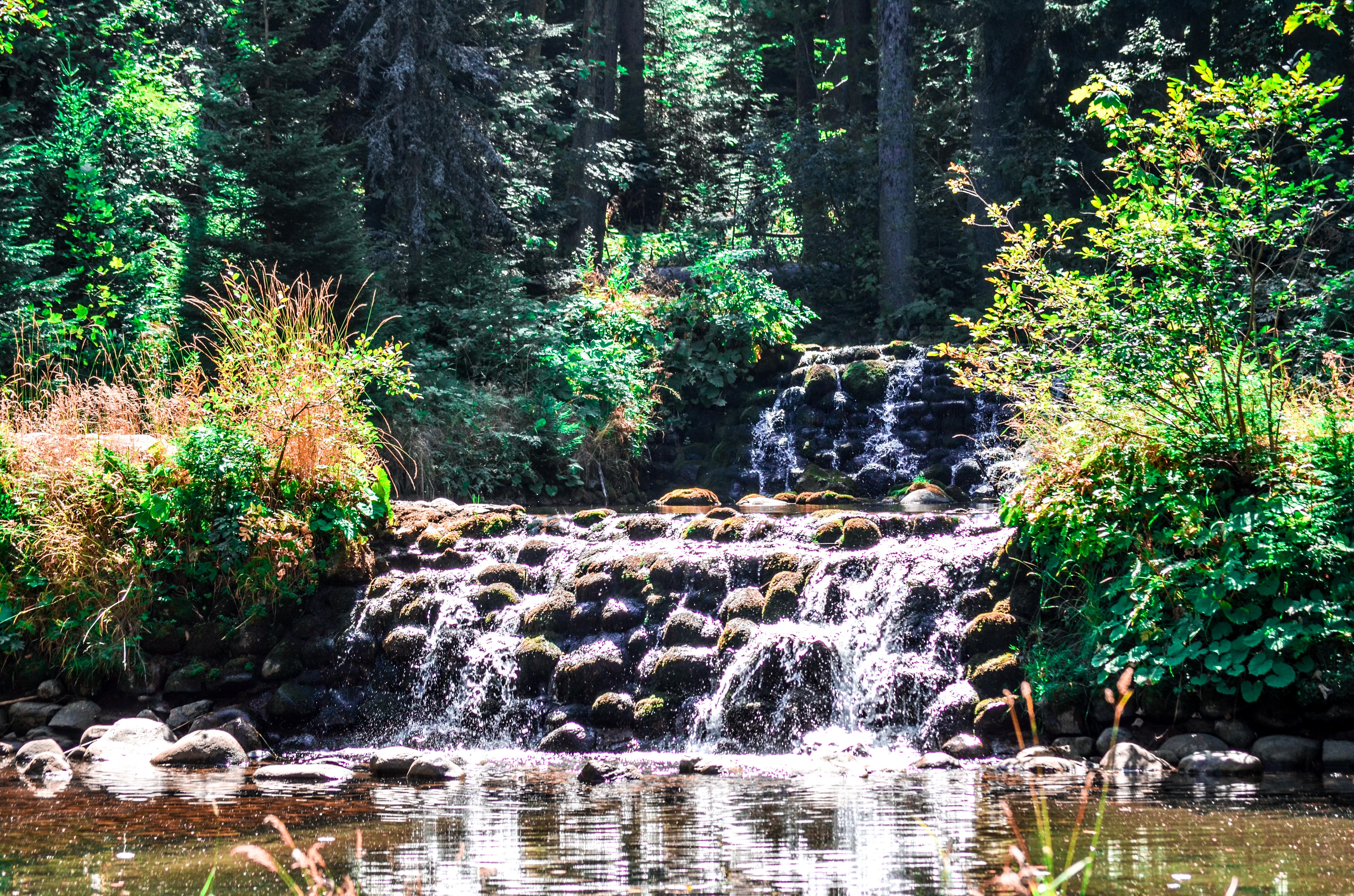 Can Edit/Enhance/Photoshop Images for your Social Med...