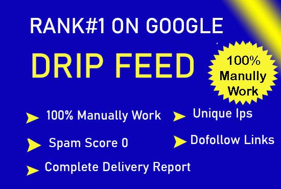 Do 30 days off page seo with high quality dofollow ba...