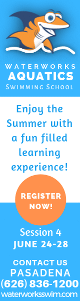 Will provide you only the best online publication ban...