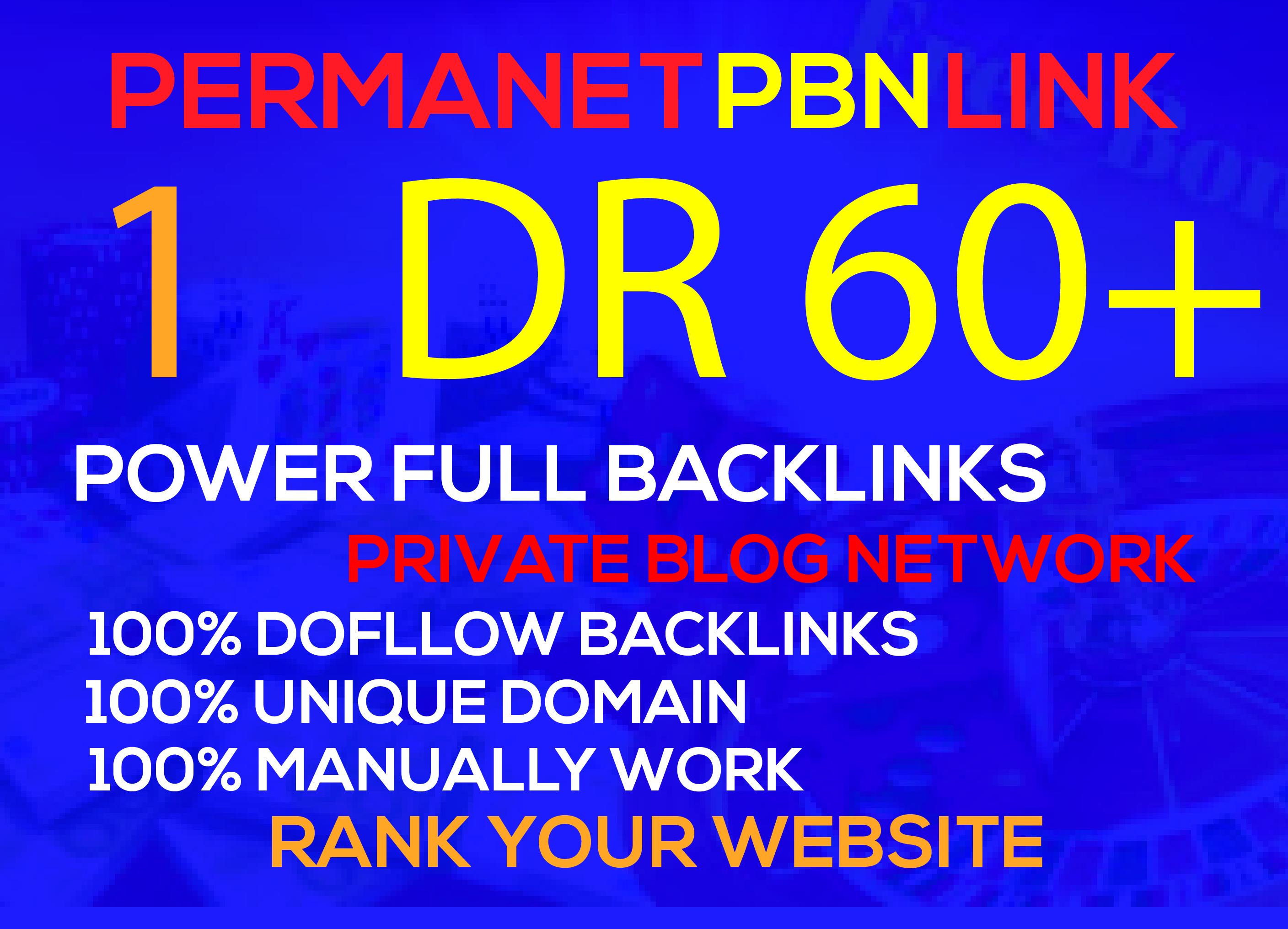 I will 1 PBN DR 60+ do permanent homepage pbn