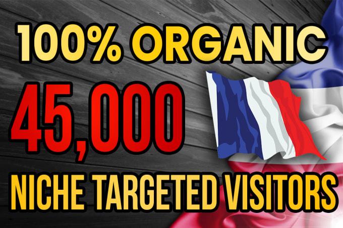 I will drive real France targeted web traffic 20K VIS...