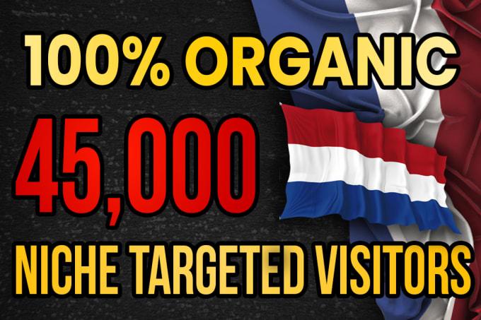I will drive real Netherlands targeted web traffic 20...