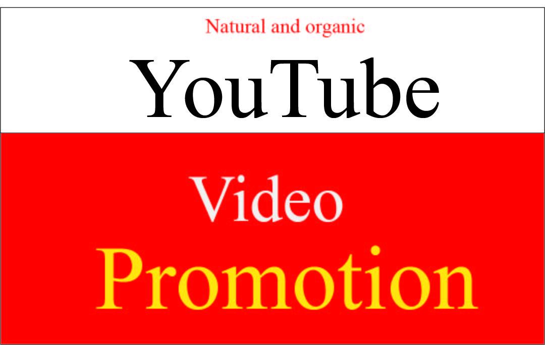 I will do super Fast organic youtube promotion for su...