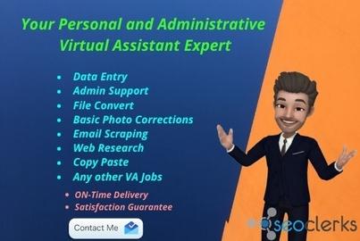 Personal and Administrative Virtual assistant expert ...