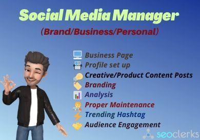 Expert Social Media Manager to boost your Personal an...