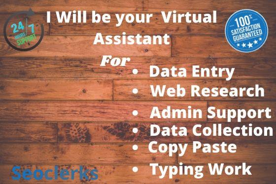 I will be your professional virtual assistant for dat...