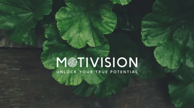 I will make any logo design you want