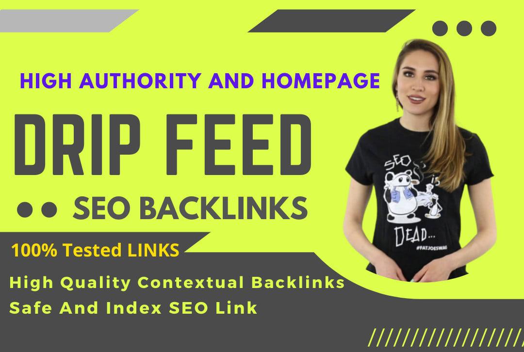 Build 2021 Latest 30 days Drip Feed SEO link building...
