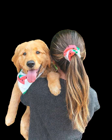 I will remove backgrounds for 20 images and simple Ed...