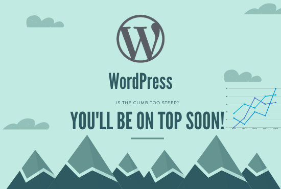 I will install and set up a pragmatic Wordpress websi...