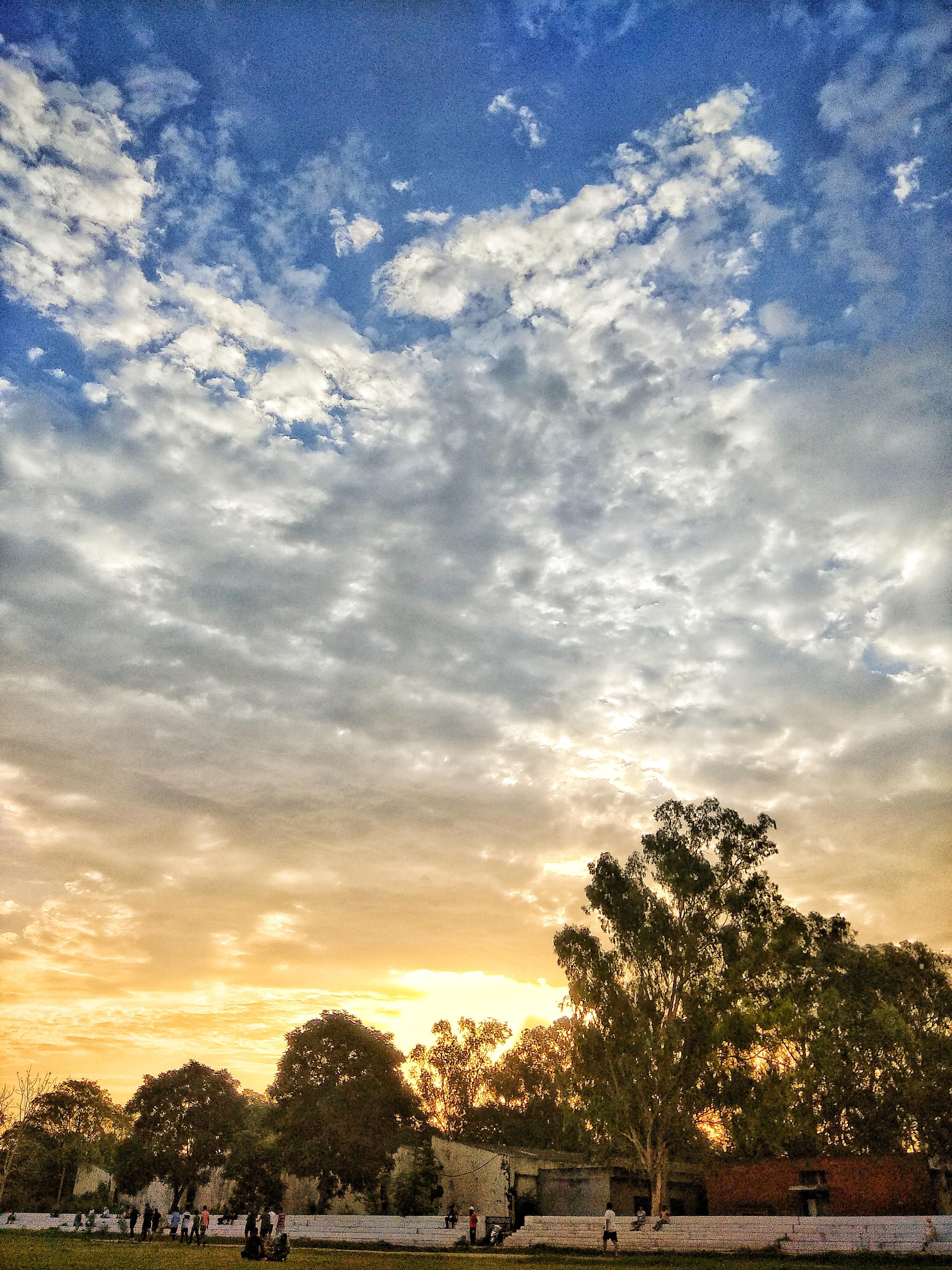 Writing is my passion. I insure you that my work is a...