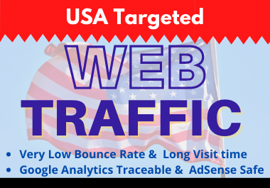 send 5,000+ 1 min+ USA Organic target web traffic wit...