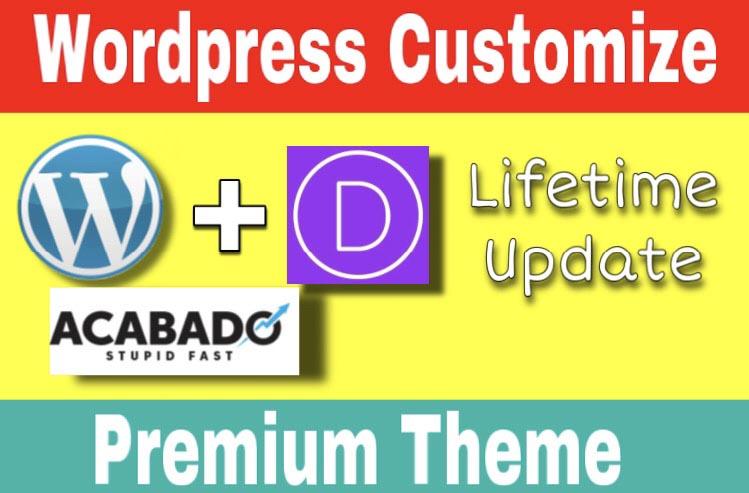 Wordpress Customization with Premium Theme and Free S...