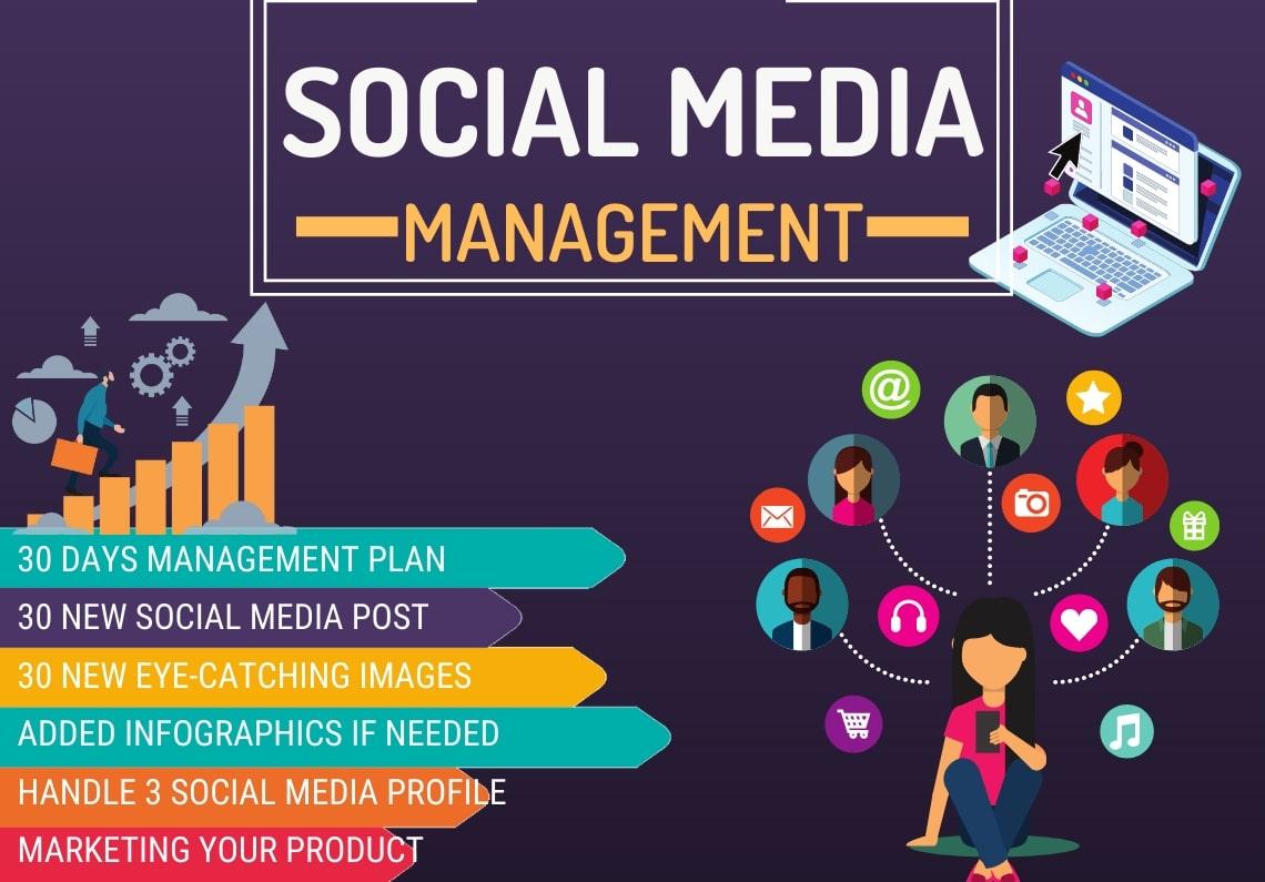 I will be your Social Profile Manager for 30 Days to ...