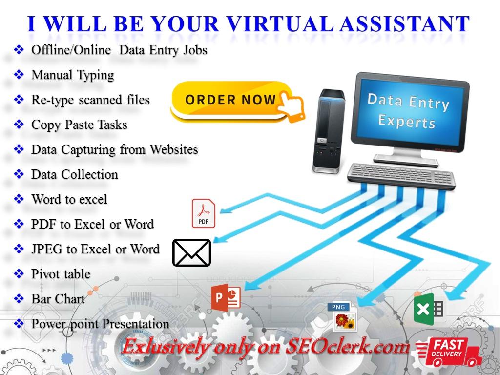 I Will Do Any Kind of Data Entry, Copy Paste, Pivot...