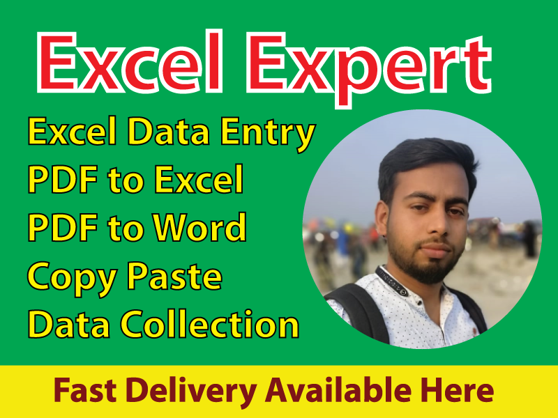 I will professionally do excel data entry, typing, c...