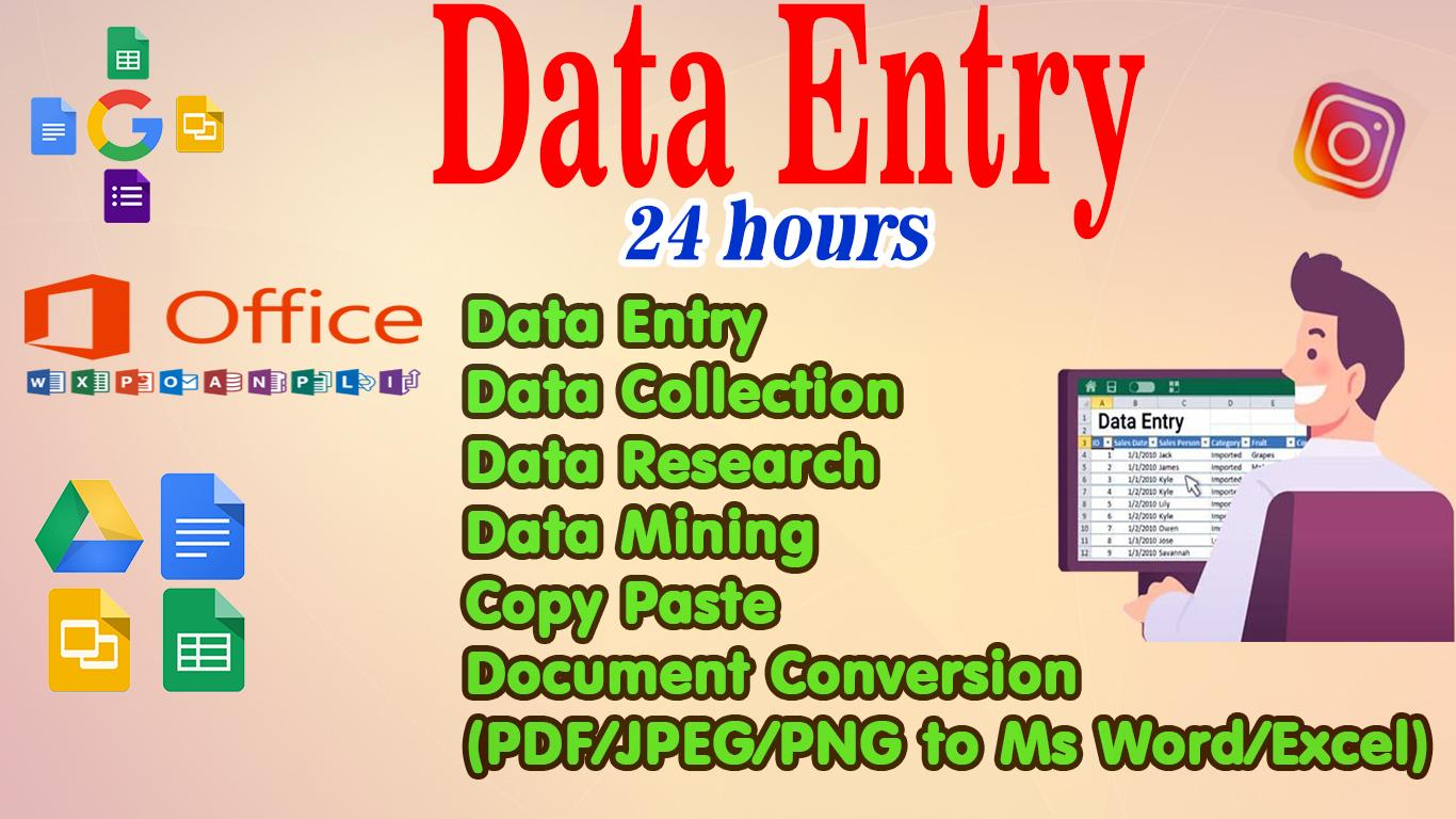 I will excel data entry, copy paste, typing, data ...