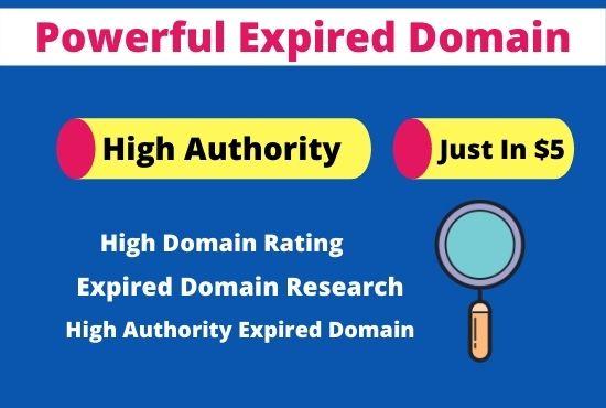 I will do powerful expired domain research for high d...