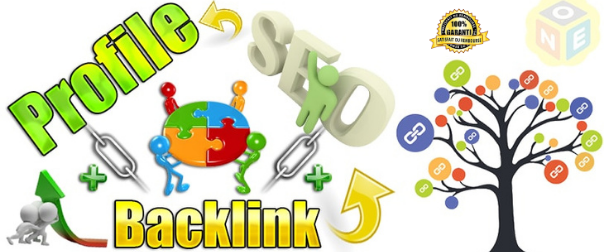I will do 100 High Quality Profile Creation Backlinks...