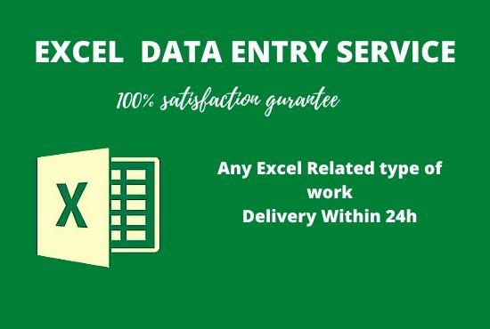 I will do PROFESSIONAL data entry and any excel relat...