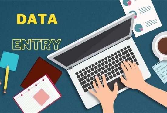 I will be your virtual assistant for data entry, dat...