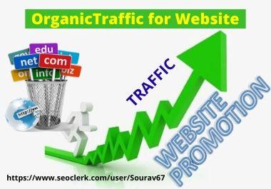 I will bring targeted organic web traffic on social m...