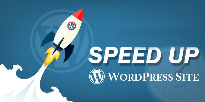 I will speed up WordPress site 90+ for Google PageSpe...