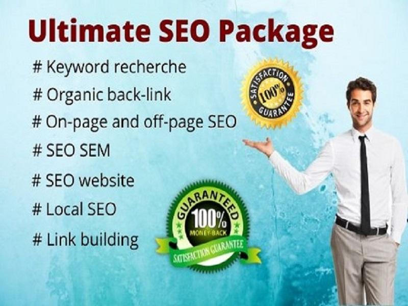 I will SEO your website by the organic way and rank y...