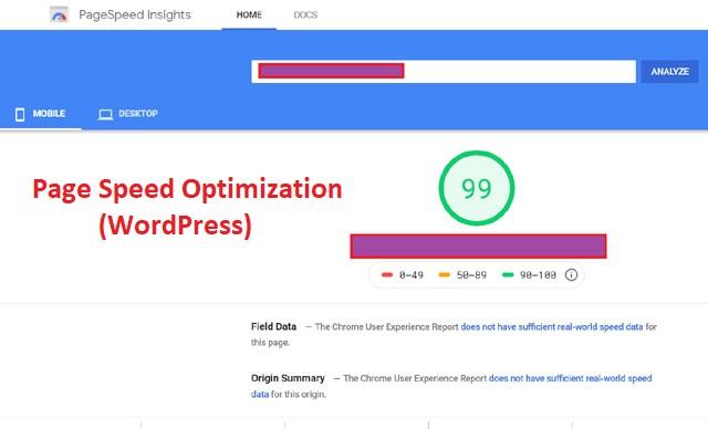 Improve Score on Google Page Speed Insights and GTMet...