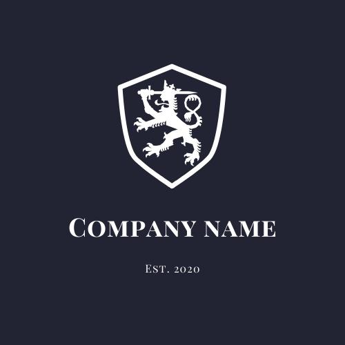 I will do a professional logo in 24 Hours