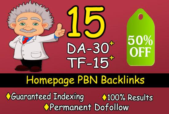 I will provide high authority SEO homepage indexed pb...