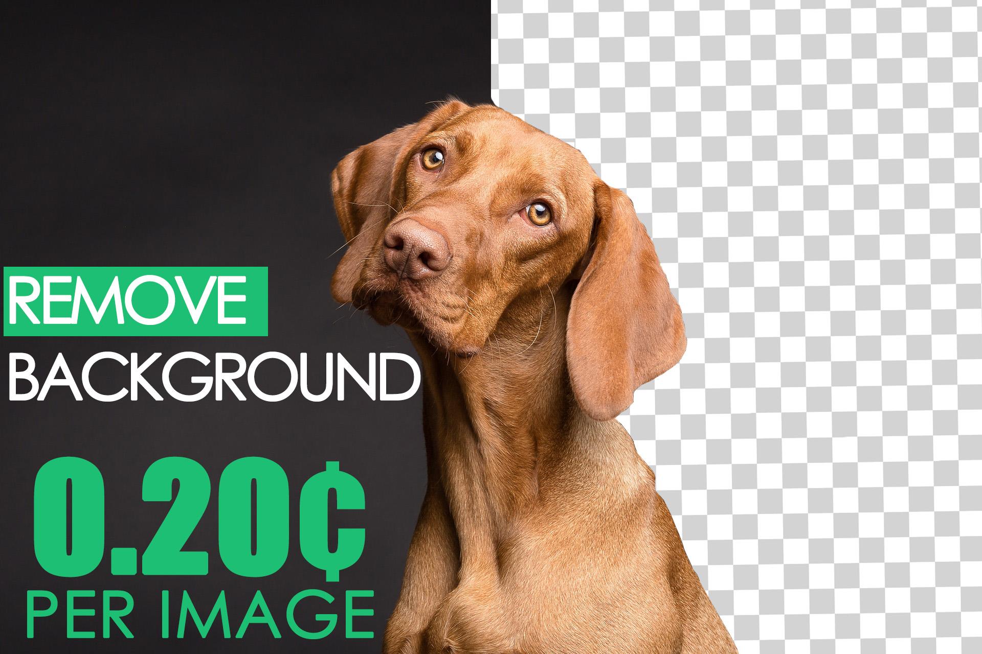 I will remove background profesionally with photoshop