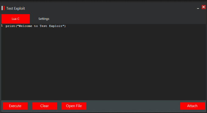 I will make you a custom roblox exploit