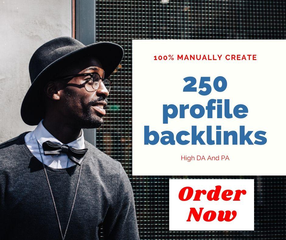 I will do 250 profile backlinks manually create rank ...