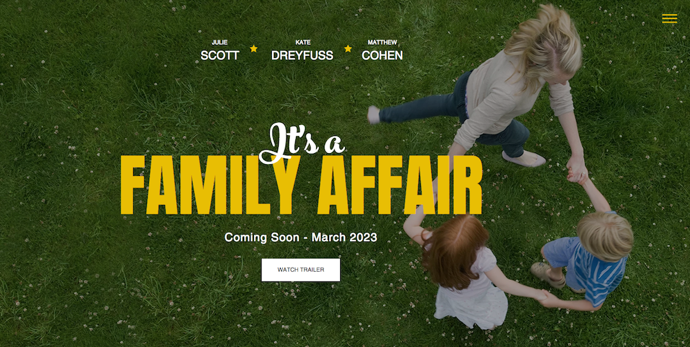 I will create stunning wix website for you