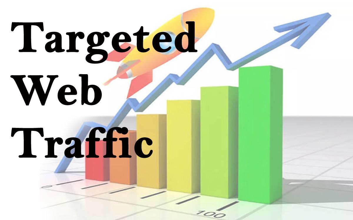 deliver 100000 Quality USA Real visitors your WEB sit...