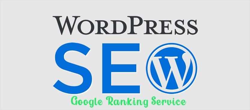 I Will do complete wordpress seo and google ranking s...