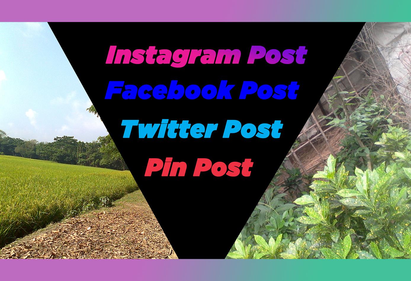 I Will Design Social Media Post in 12 hours