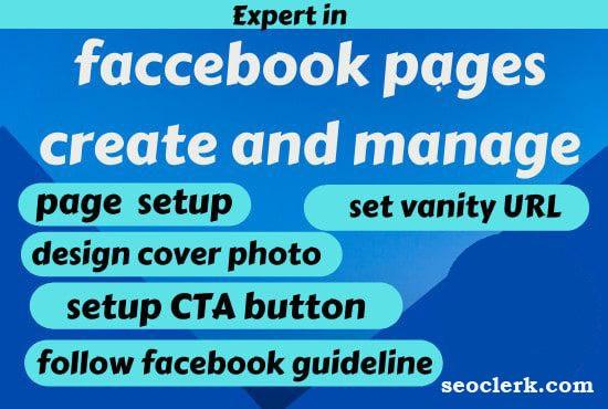 create facebook business page and optimize it profess...