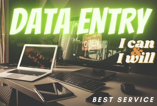 do excel data entry, copy paste, typing, data entr...