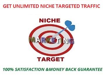 To grow your website traffic get 400 niche targeted t...