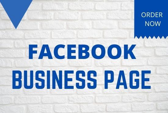 i will create setup design and optimize Facebook busi...