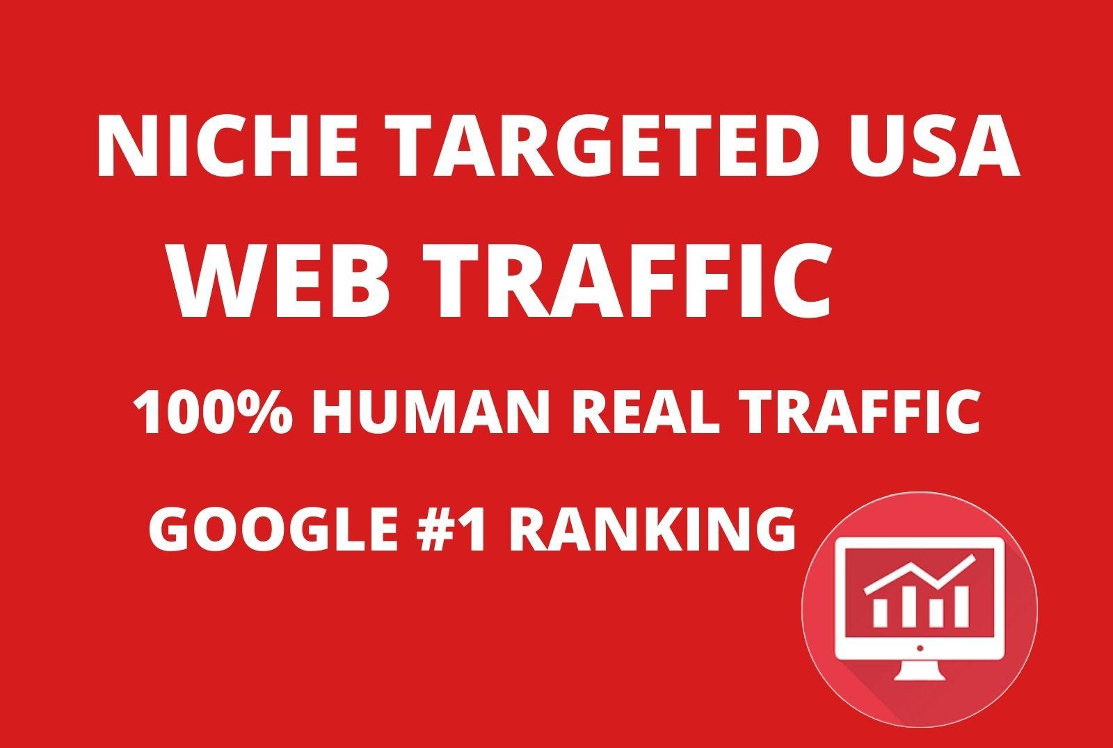 USA Targeted web traffic For Your Business
