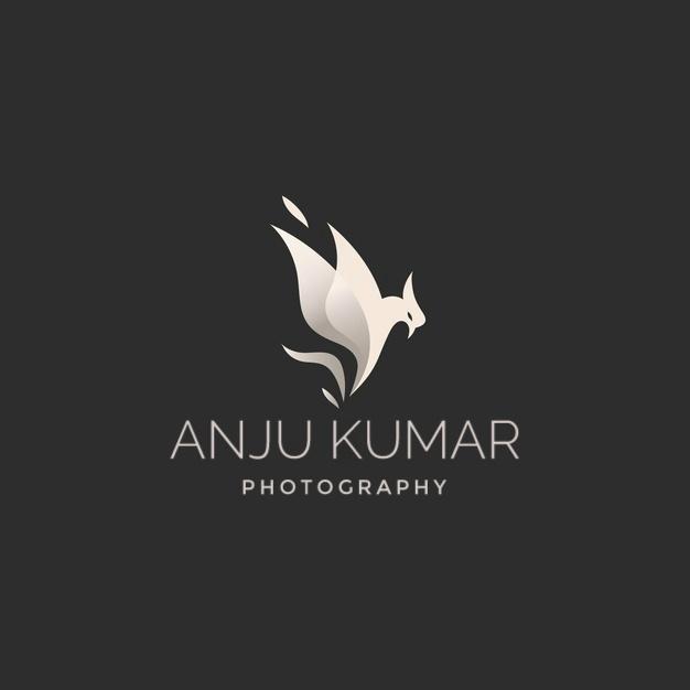 I will edit the best photo shop logo for your busines...