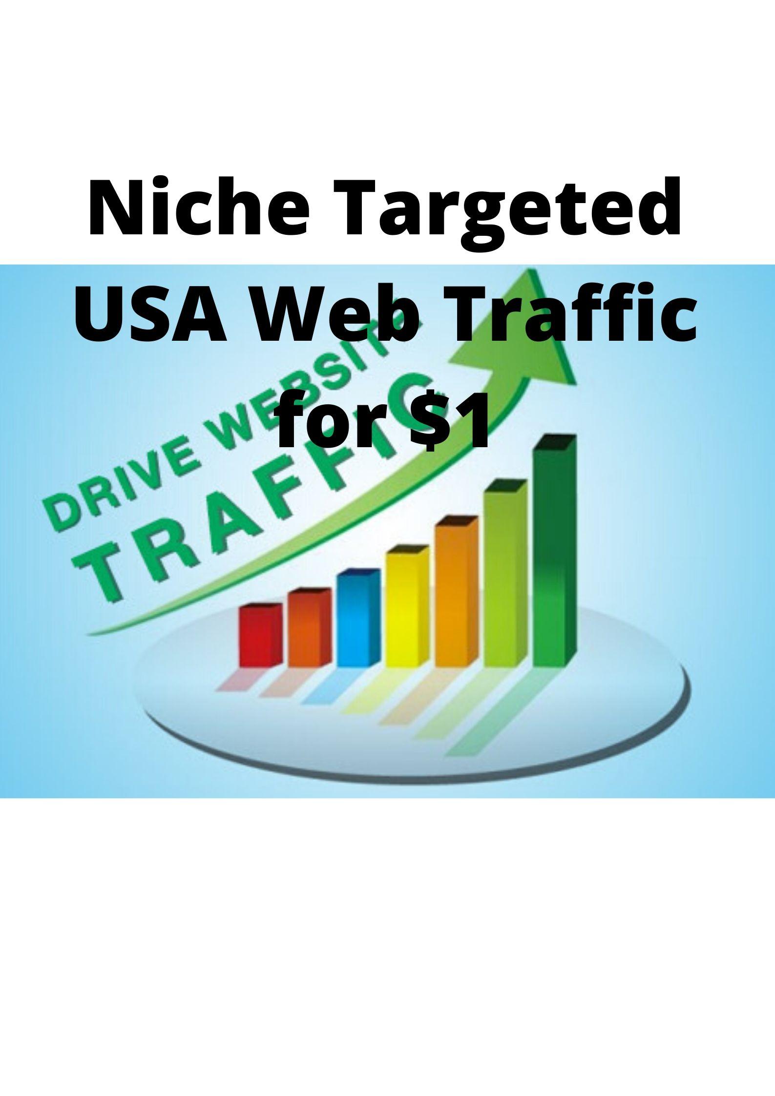 Niche Targeted USA Web Traffic Within Committed Time ...